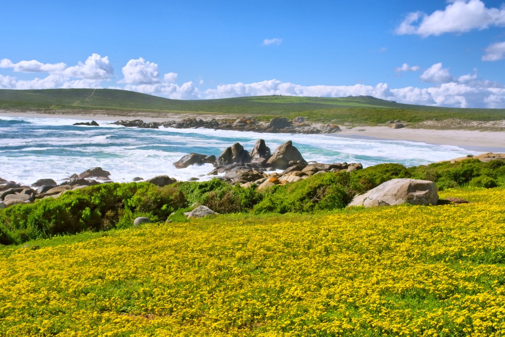 Langebaan, South Africa. West Coast