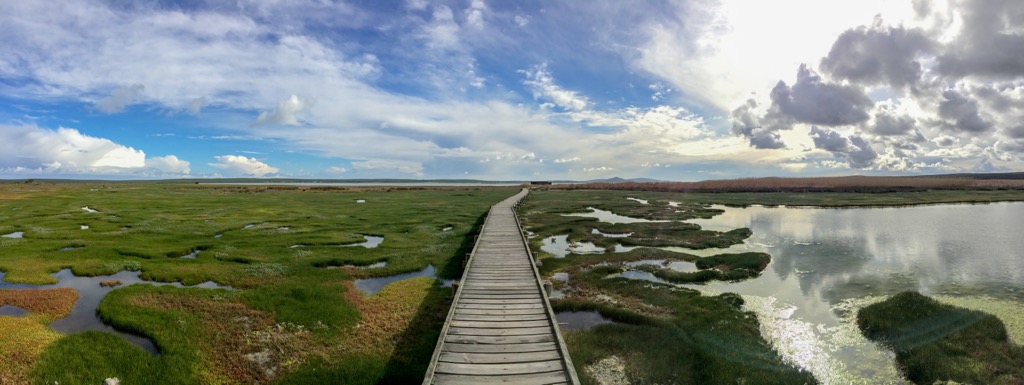 The Geelbek wetlands are an important bird sanctuary. West Coast