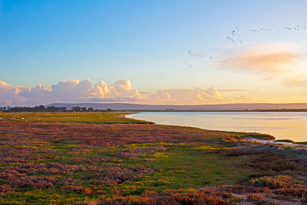 The Berg River near its terminus at the Atlantic Ocean. West Coast