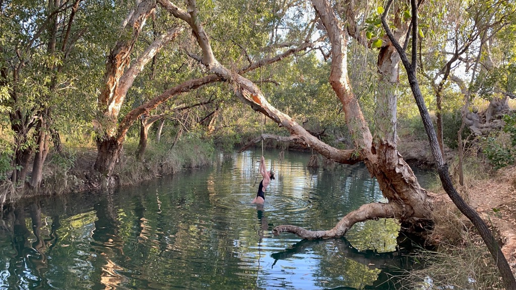 The riparian zone is an oasis from the heat of the desert. Photo: Anna Lochhead