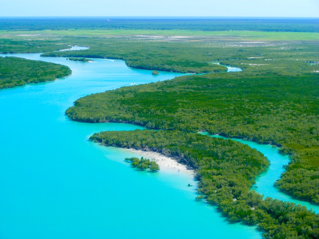 Mangrove forests around Broome. Western Australia 