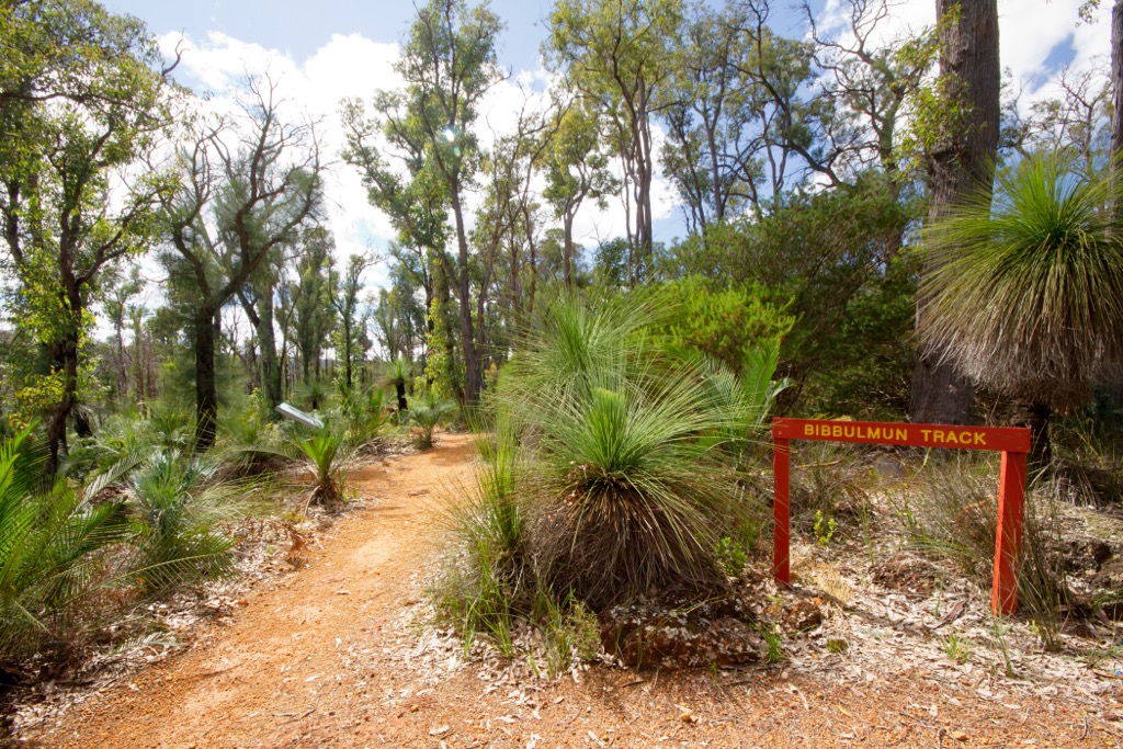 The Bibbulmun Track. Western Australia 