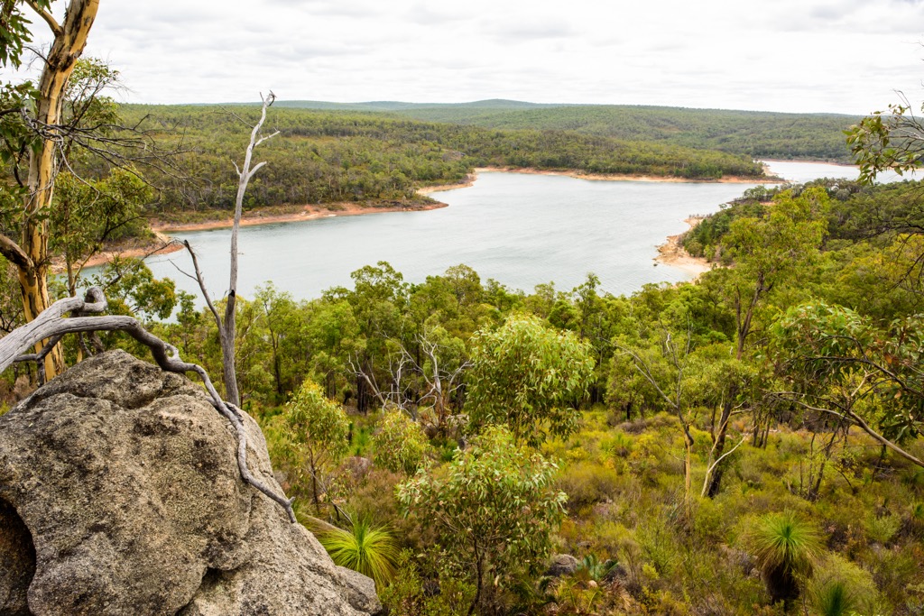 Forests around Mundaring, in the Darling Scarp just east of Perth. Western Australia 