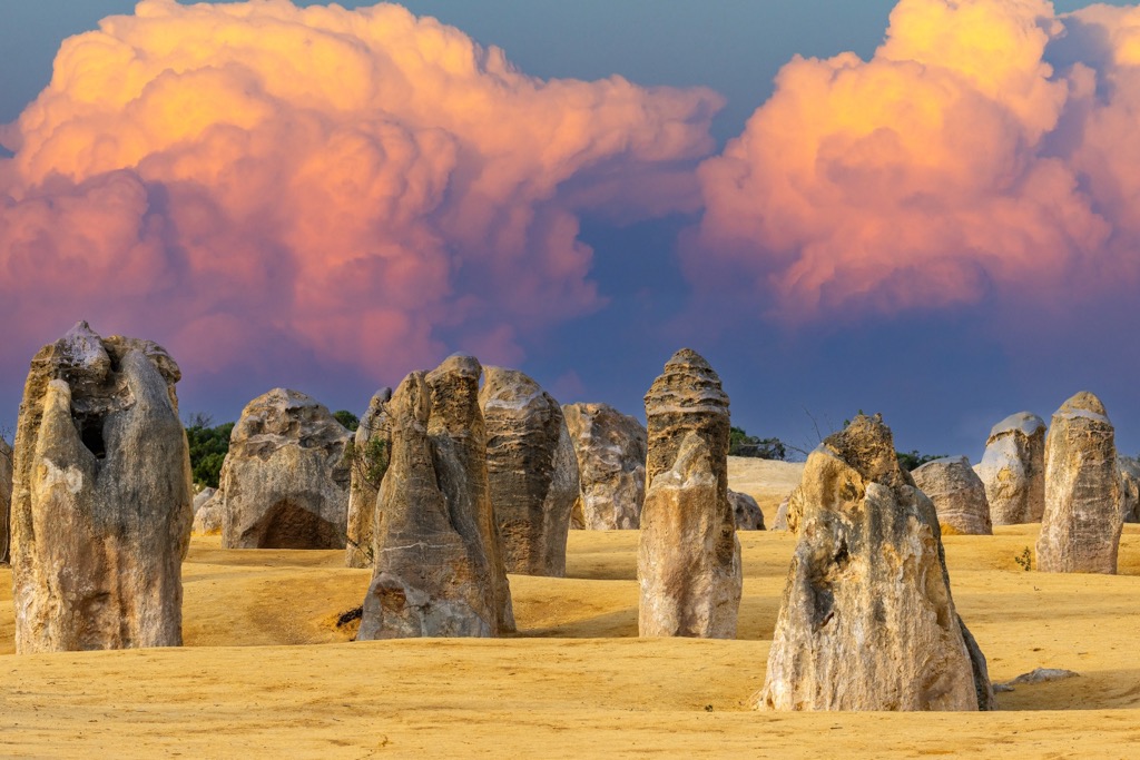 The limestone pinnacles of Nambung National Park. Western Australia 