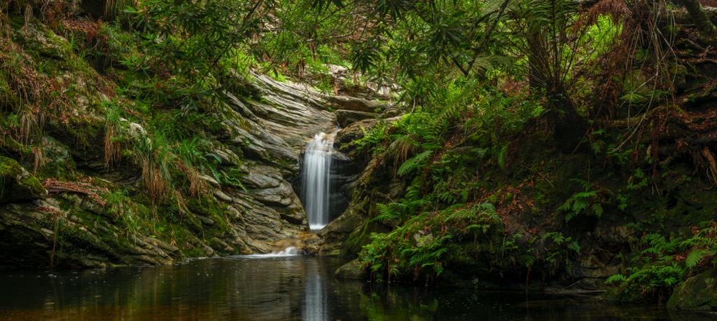 A waterfall along the Garden Route of the Western Cape. The coastal forests are a rare example of temperate rainforest. Western Cape