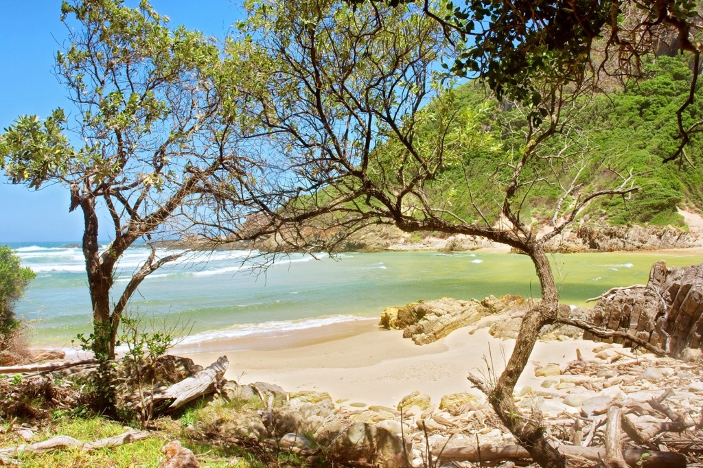 The Otter trail is strenuous but rewards hikers with unforgettable pit stops like this secluded beach. Western Cape