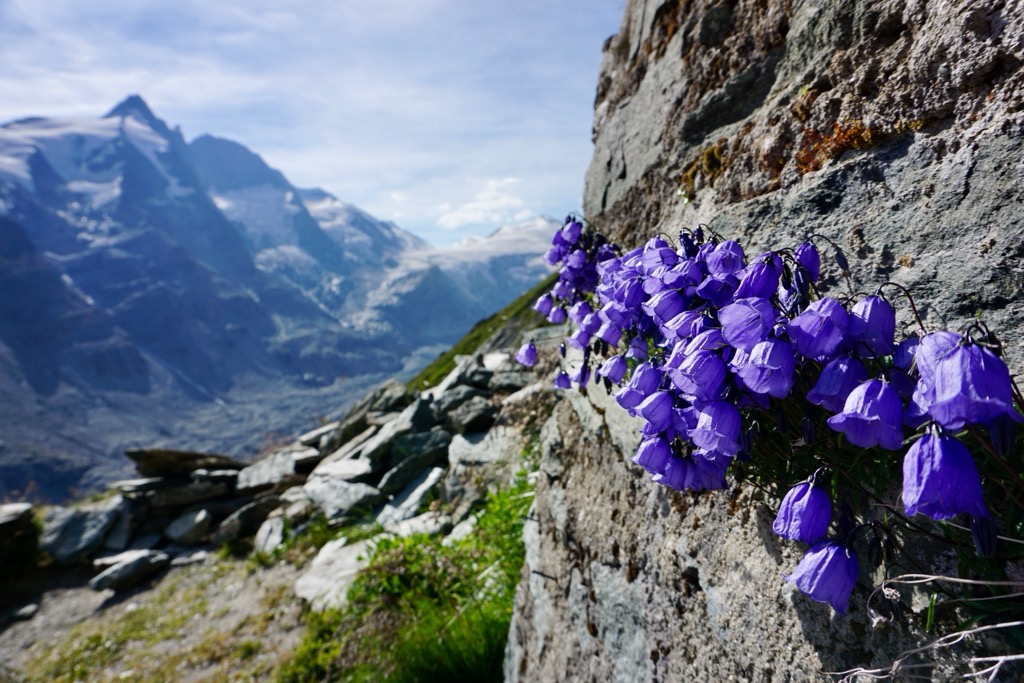 Western Tauern Alps, Austria