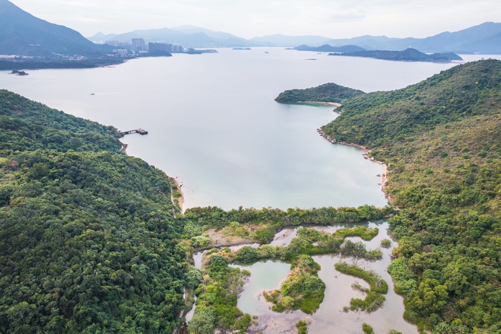 Wetland, Cheung Sheung, Sai Kung Country Park, Hong Cong, China