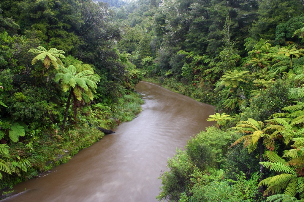 Whanganui National Park, New Zealand