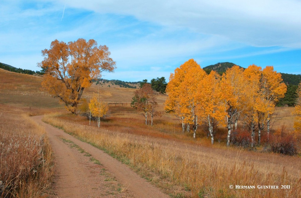 Rawhide Trail at Junction of Belcher Hill Trails , White Ranch Park, Colorado