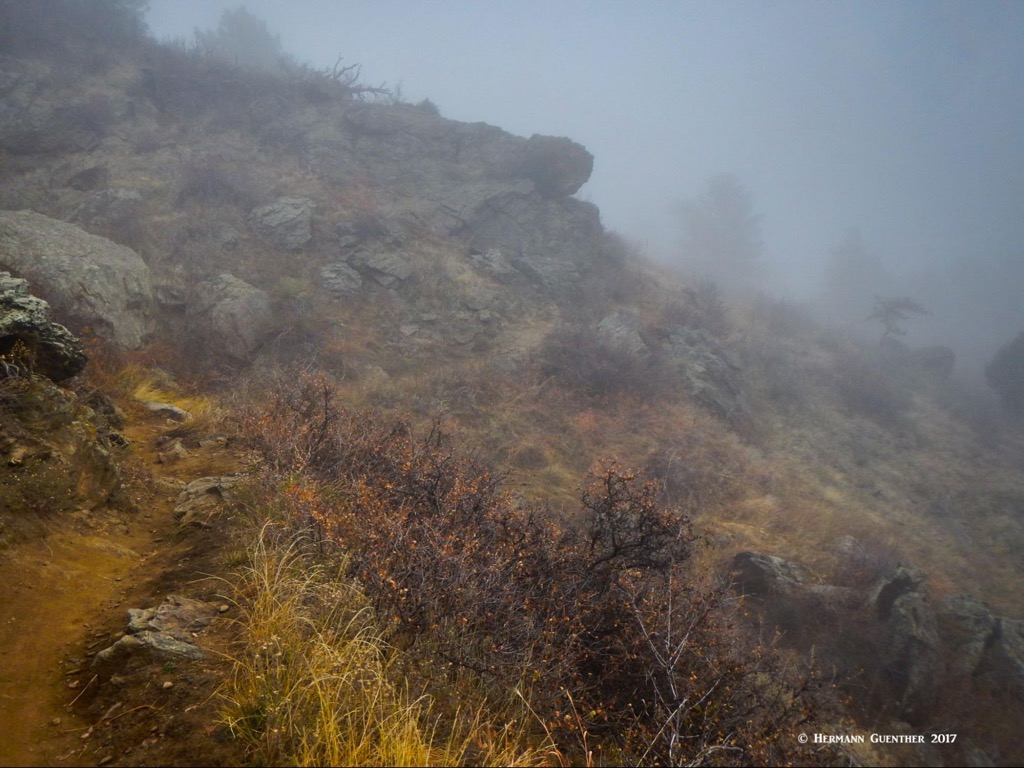 Shorthorn Trail, White Ranch Park, Colorado