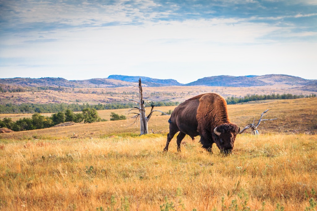 Wichita Mountains, Oklahoma