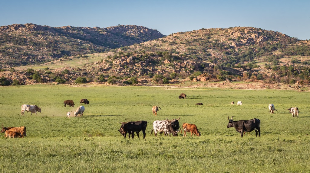 Wichita Mountains, Oklahoma