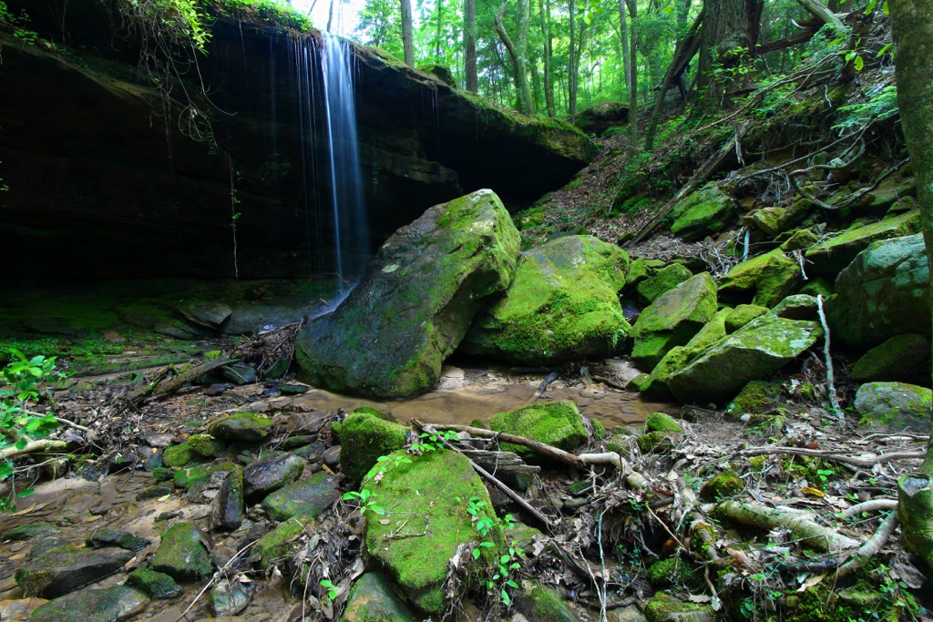 William B. Bankhead National Forest, Alabama