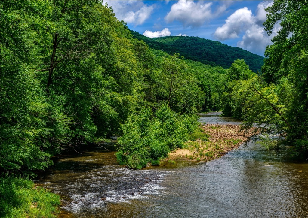 Williams River, Monongahela National Forest, West Virginia, USA