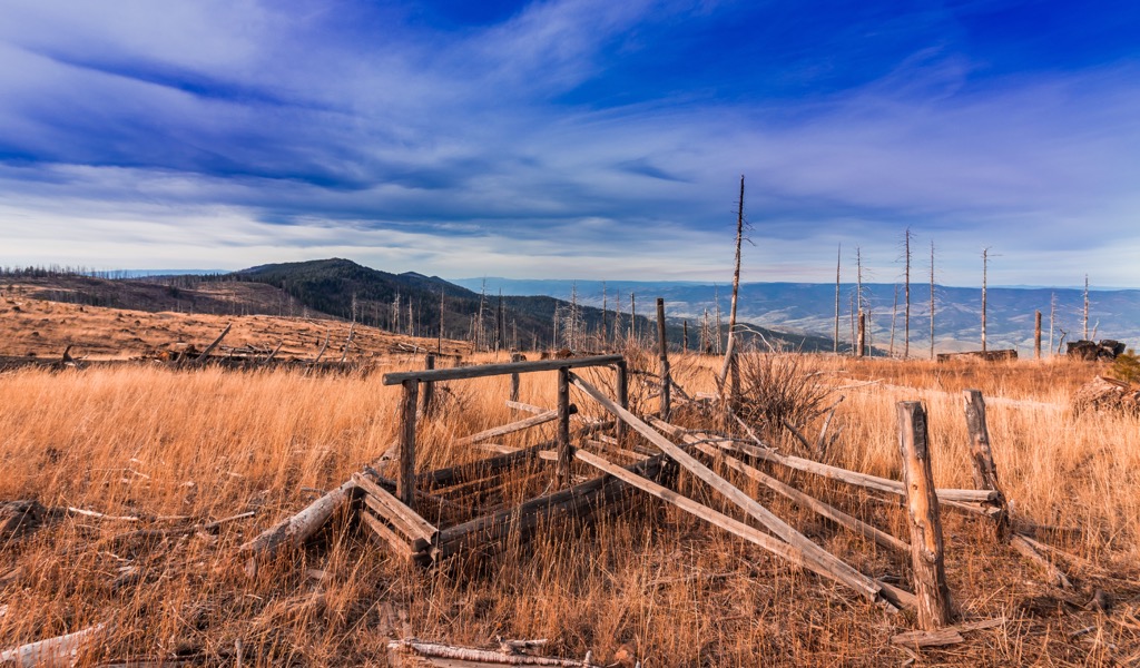 Wooden ruins, Aldrich Mountains, Oregon, USA