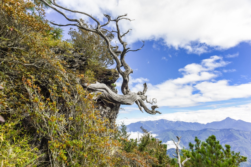 Xueshankeng River Major Wildlife Habitat, Taiwan