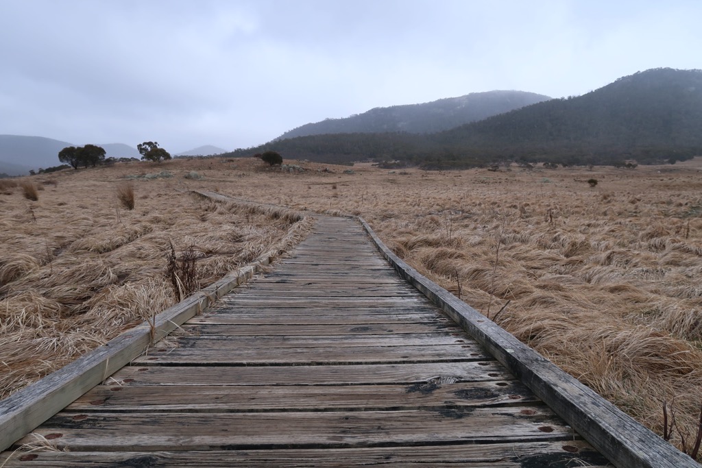 Yankee Hat walking track, Namadgi National Park, Australia