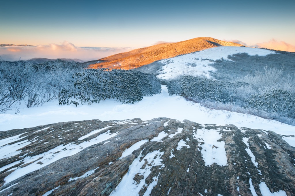 Yellow Mountain State Natural Area, North Carolina