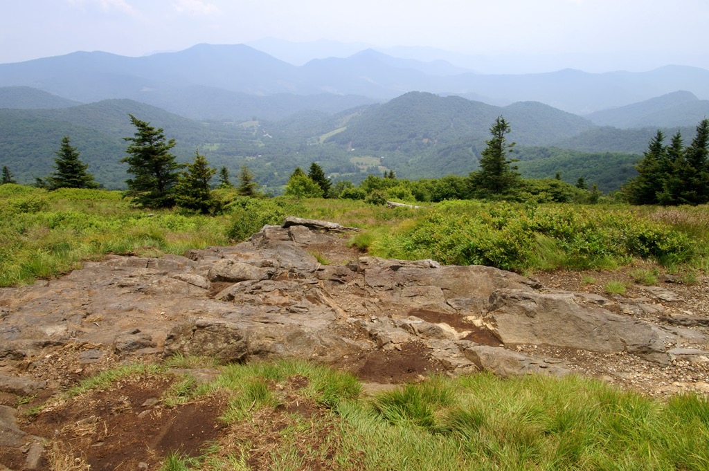 Yellow Mountain State Natural Area, North Carolina