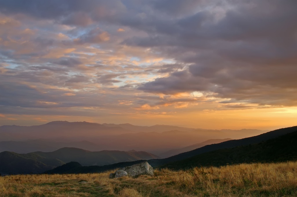Yellow Mountain State Natural Area, North Carolina