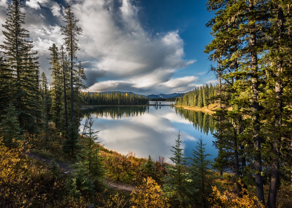 Yellowhead County Mountains