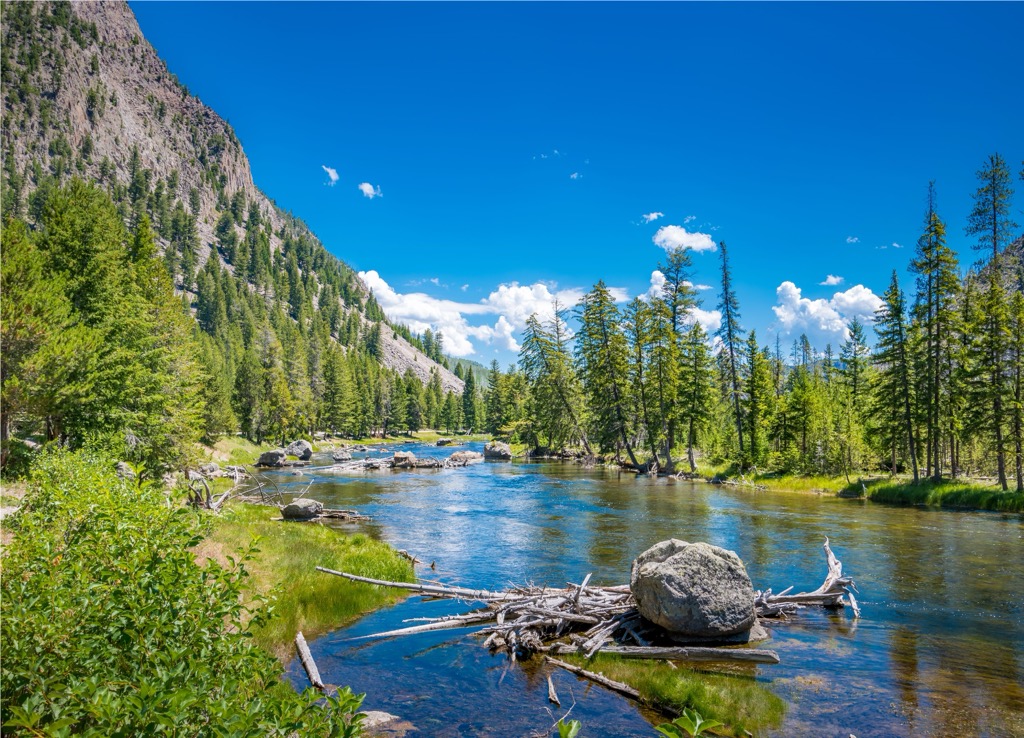 Yellowstone River, Yellowstone National Park, Wyoming, USA