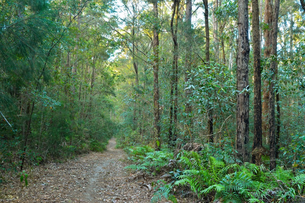 Yengo National Park, Australia