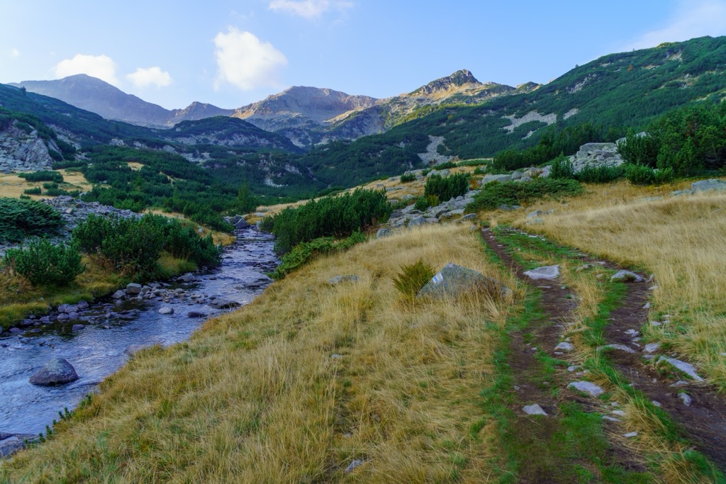 Typical mountain stream in Pirin National Park. Yulen Reserve