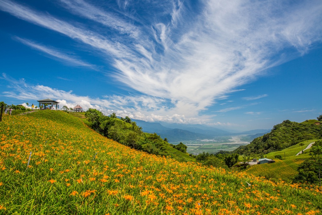  Huadong Valley, Yuli Wildlife Sanctuary Buffer Zone, Taiwan