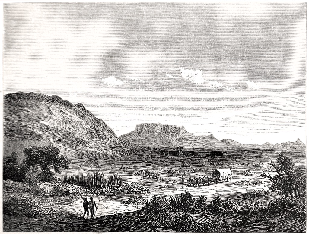 An illustration of Cradock from 1880. Zebra National Park