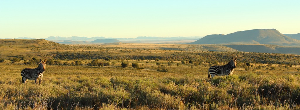 The open Karoo landscape of Mountain Zebra National Park. Zebra National Park