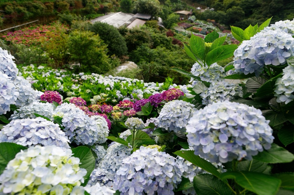 Zhuzishan Lujiaokeng River Outer Core Special Landscape, Taiwan