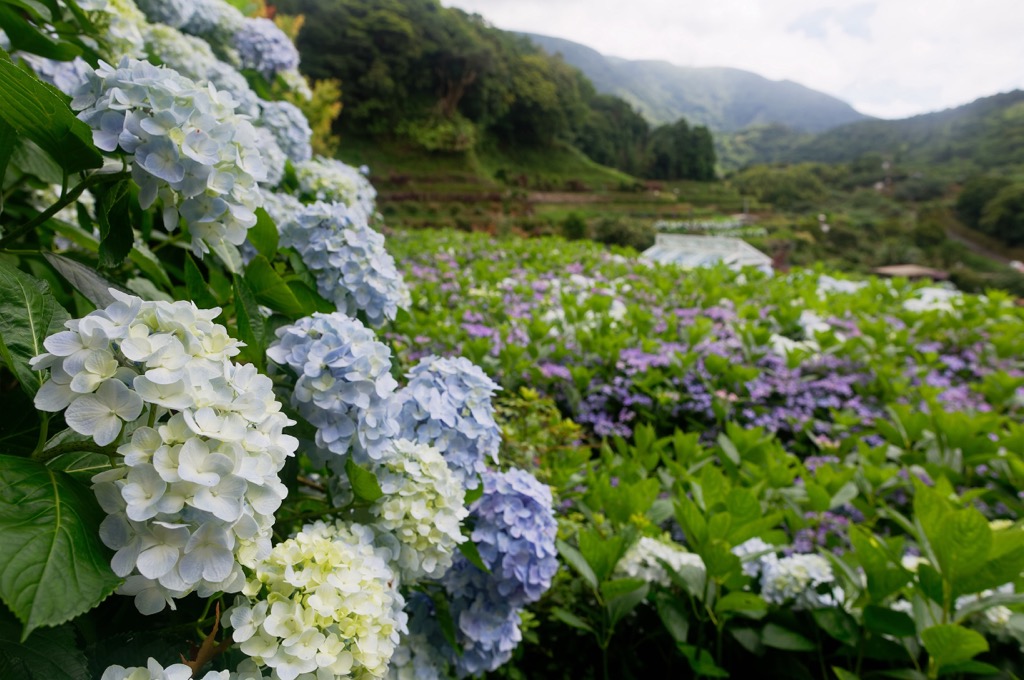 Zhuzishan Lujiaokeng River Outer Core Special Landscape, Taiwan