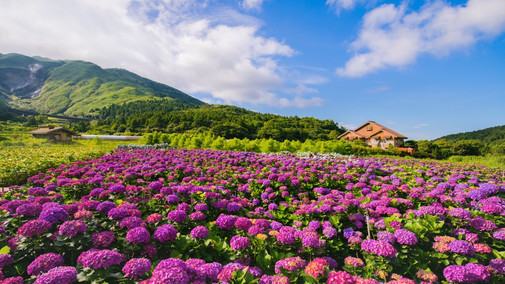Zhuzishan Lujiaokeng River Outer Core Special Landscape, Taiwan