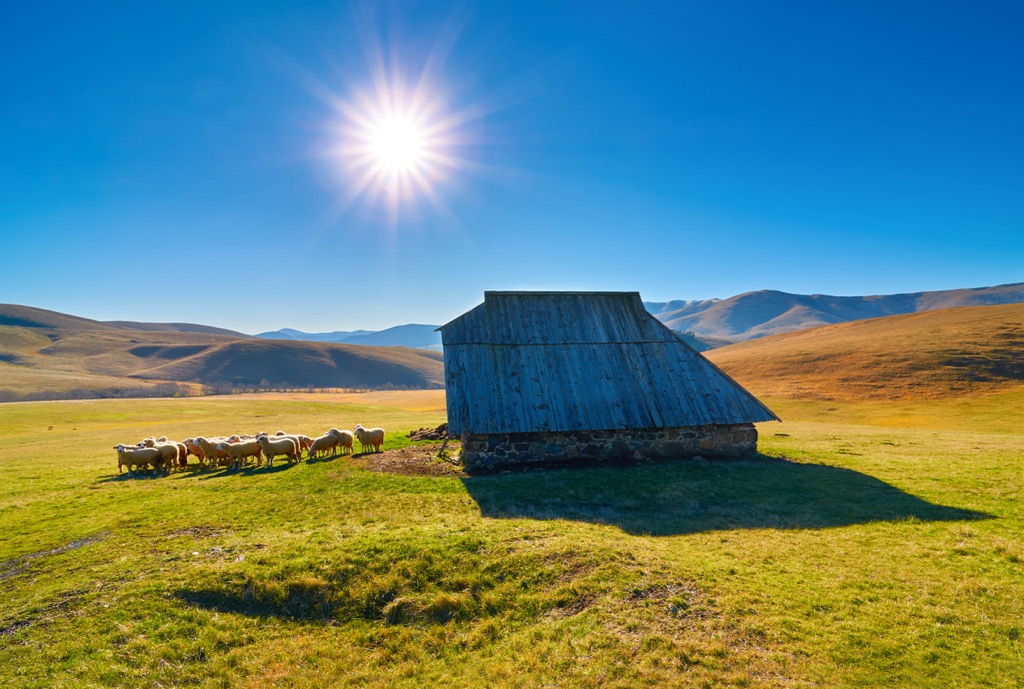 The “fields” of Zlatibor Mountain are often used for grazing and agriculture. Zlatibor Nature Park