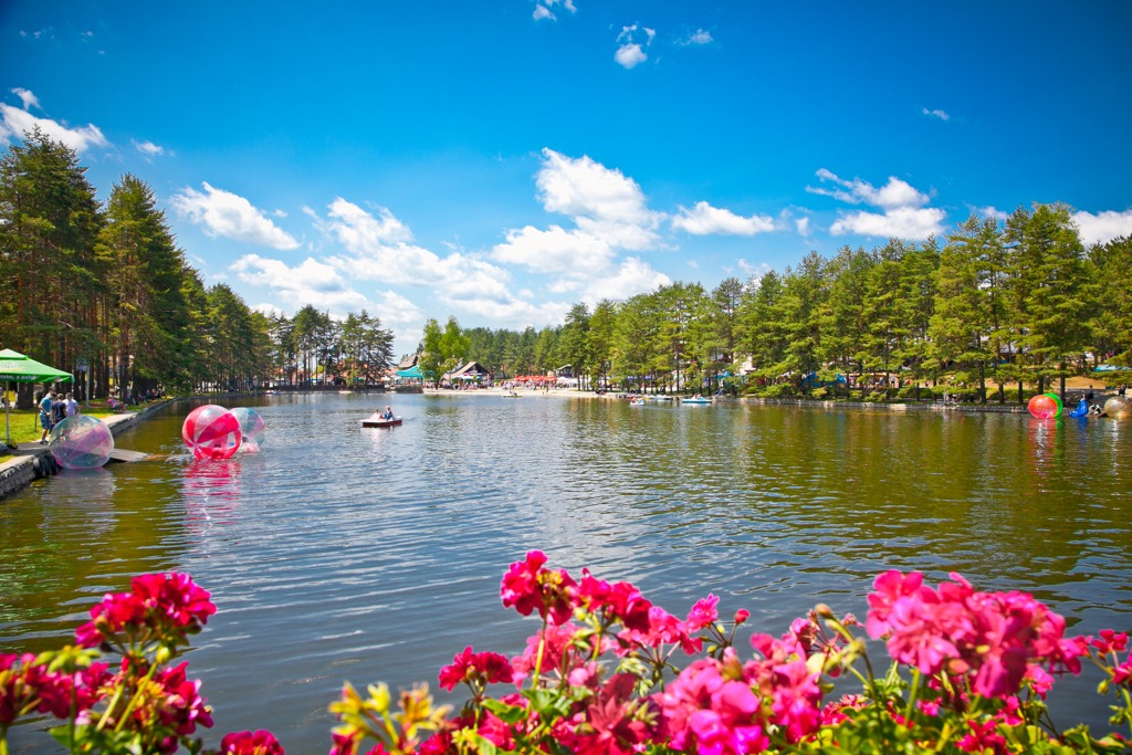 Zlatibor Lake is an artificial water body used for recreational purposes. Zlatibor Nature Park