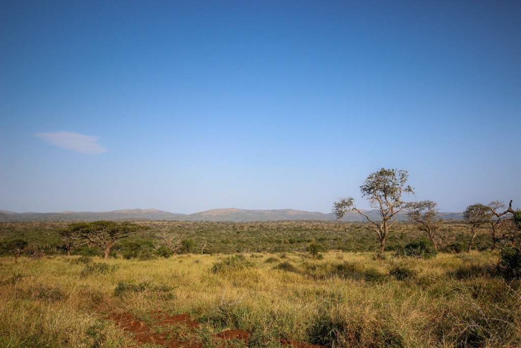 The landscape of uMkhuze Game Reserve. Zululand District Municipality