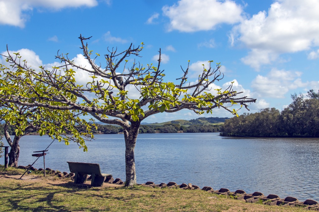 Umlalazi Nature Reserve in Mtunzini. Zululand District Municipality