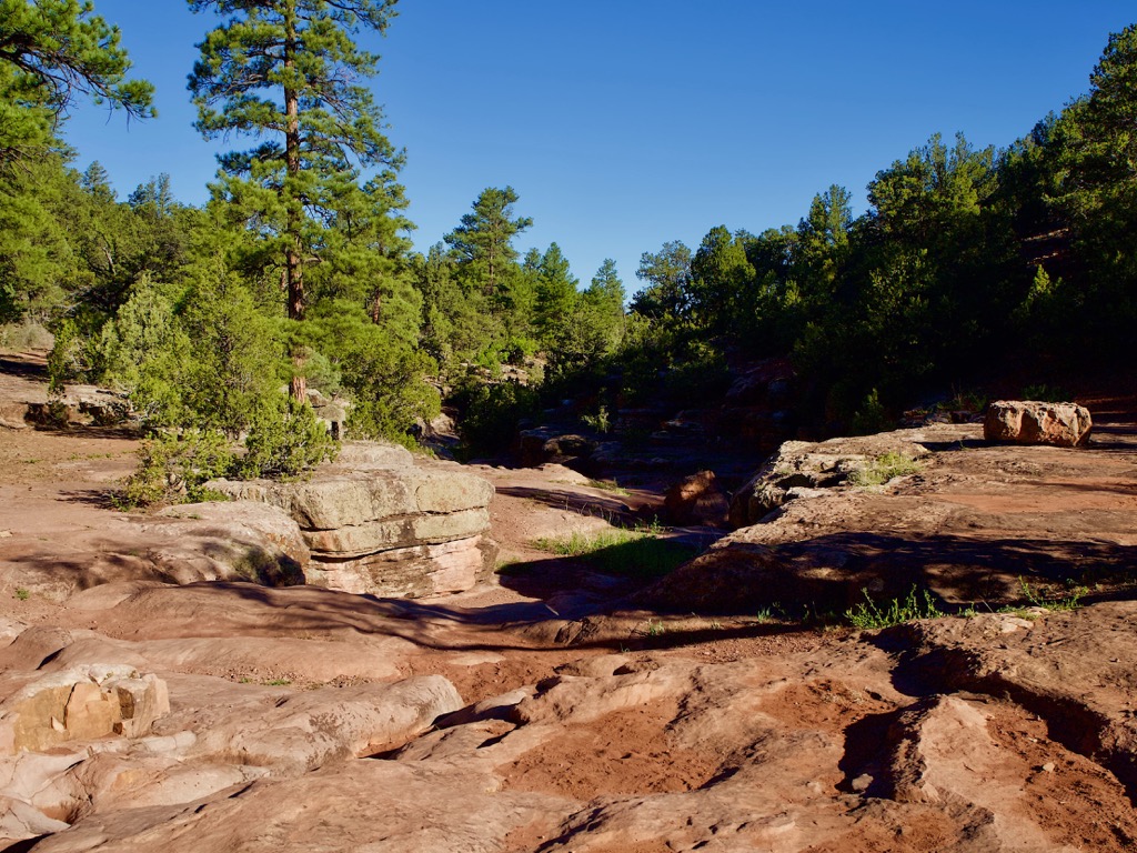 Milk Ranch Canyon, Zuni Mountains, New Mexico
