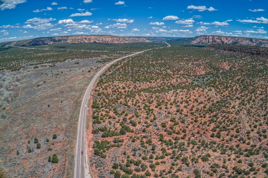 Zuni Mountains, New Mexico
