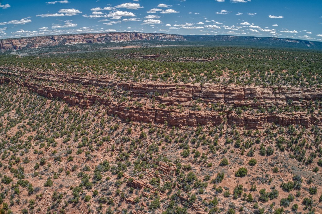 Zuni Mountains, New Mexico