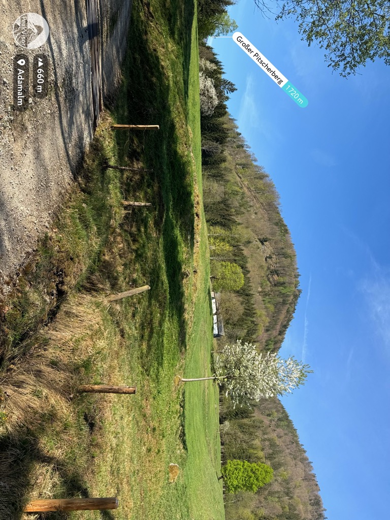 adamalm