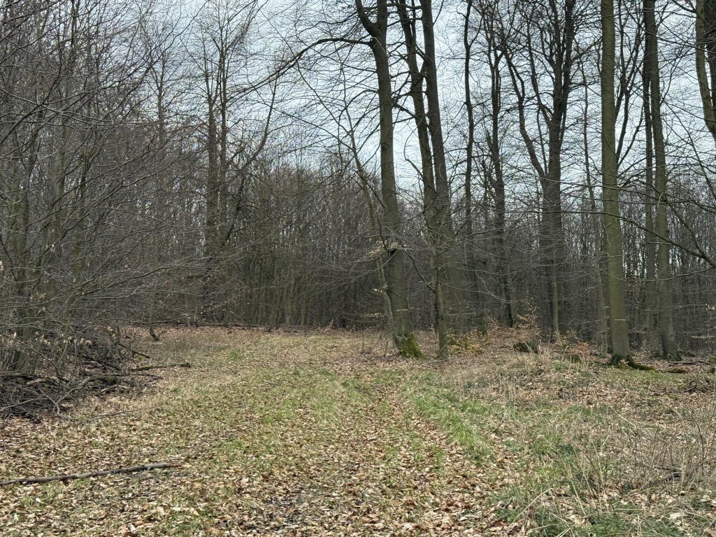 Photo №2 of Adamsberg