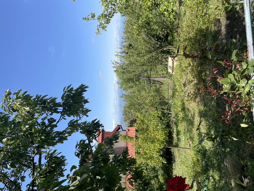 Photo №1 of Ag'mashenebeli