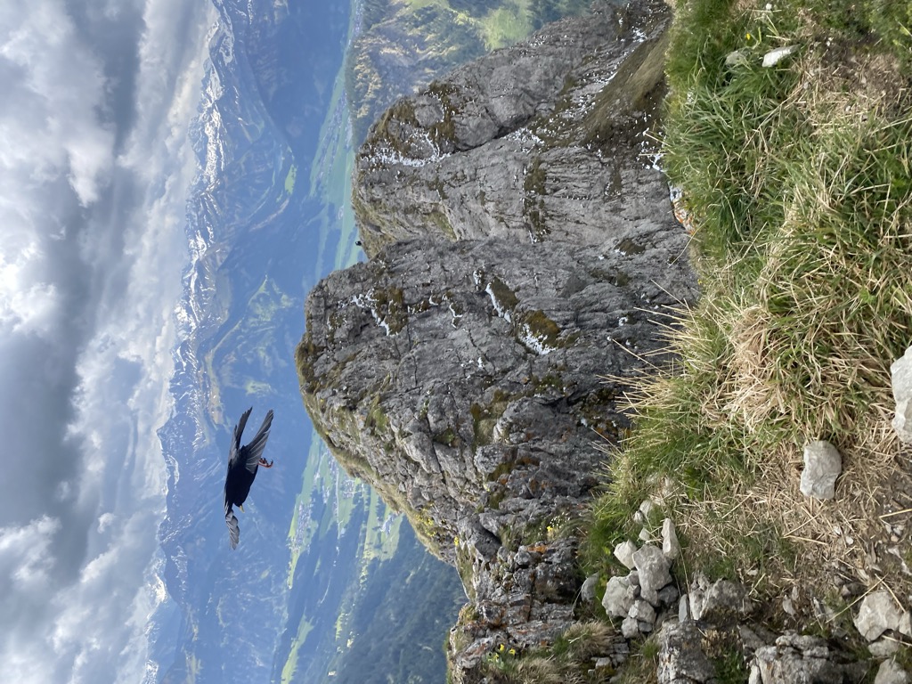 Photo №1 of Aggenstein Südlicher Vorgipfel