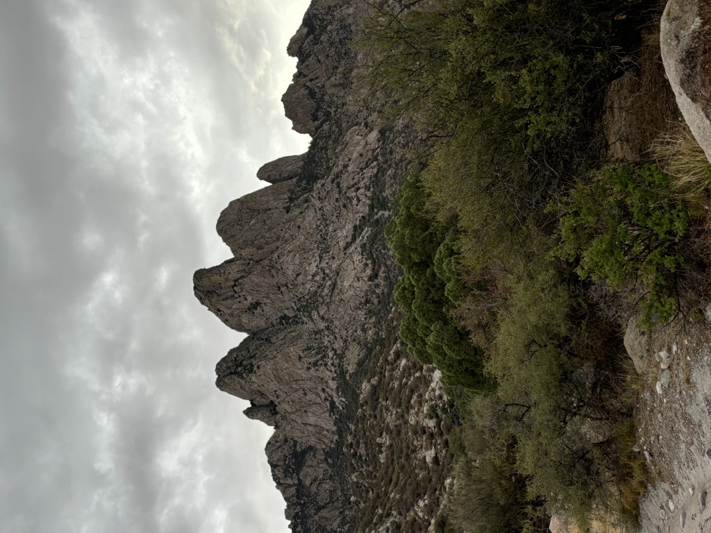 Aguirre Springs Campground