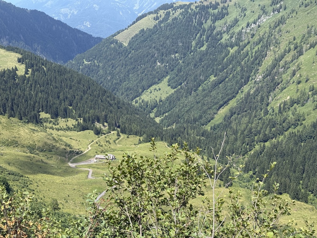 ahornachalm