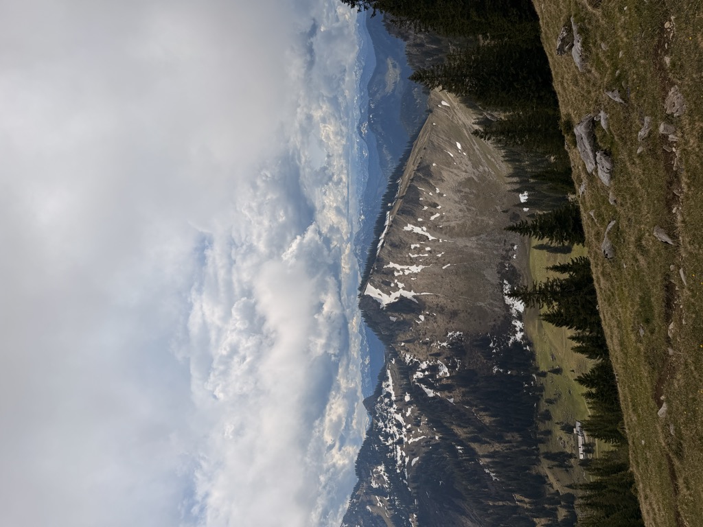 Photo №2 of Aiplspitz