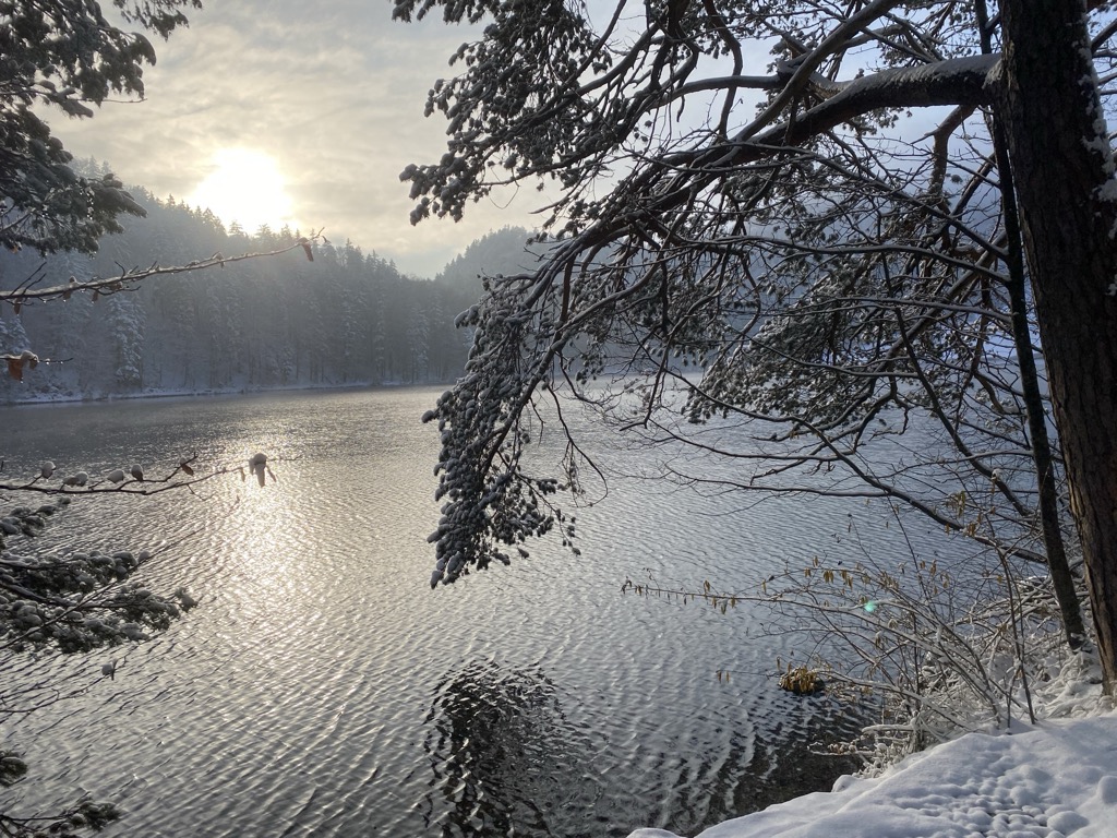 Photo №2 of Alatsee
